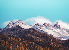 开云体育-hth华体会——引领全新体育娱乐体验